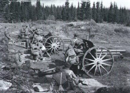 Swedish Artillery